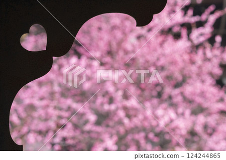 京都興正寺：心形盛開的梅花 124244865