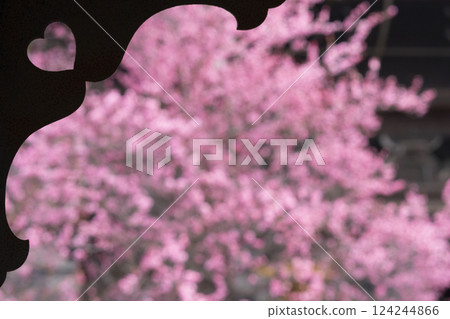 京都興正寺：心形盛開的梅花 124244866