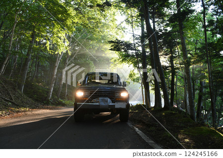 Hokkaido: Cars driving through the fog Hokkaido: Cars driving through the fog 124245166