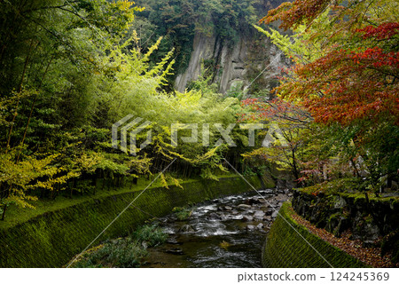 秋葉、竹林、寧靜的河畔 秋葉、竹林、寧靜的河畔 124245369