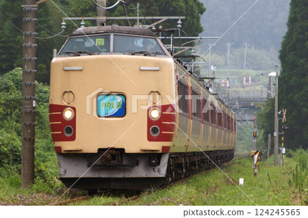 Limited Express Shinjuku Wakashio (183 series train: Shinjuku ⇔ Awa-Kamogawa) 124245565