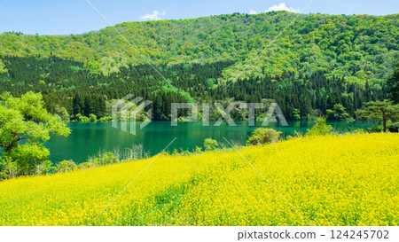 春天Huronong湖 春天Huronong湖 124245702