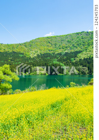 春天Huronong湖 124245703