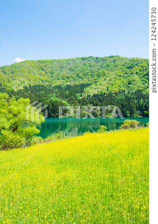 Spring Huronong Lake 124245730