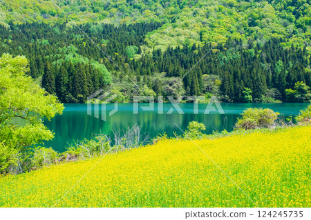 Spring Huronong Lake 124245735