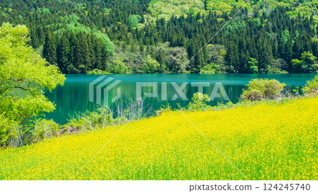 Spring Huronong Lake 124245740