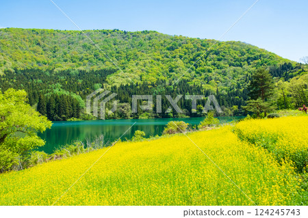 春天Huronong湖 春天Huronong湖 124245743