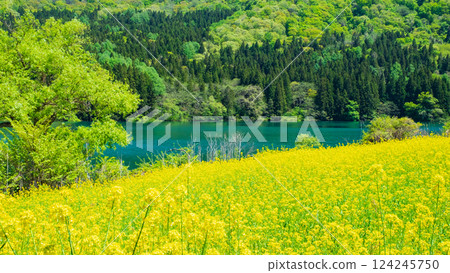 春天Huronong湖 春天Huronong湖 124245750