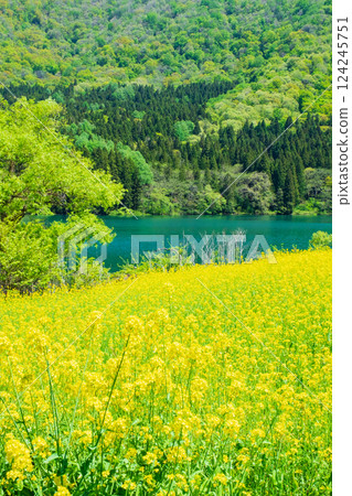 春天Huronong湖 124245751