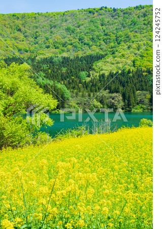 Spring Huronong Lake Spring Huronong Lake 124245752