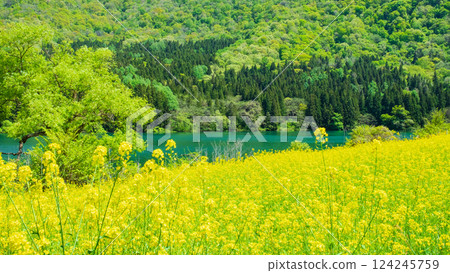 Spring Huronong Lake 124245759