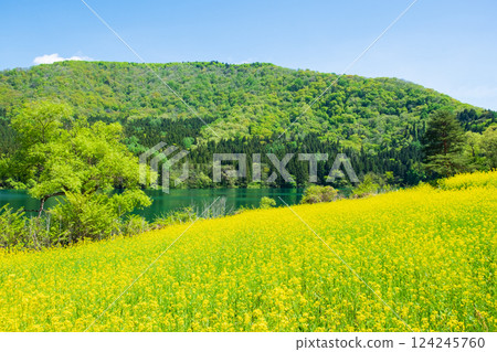 Spring Huronong Lake 124245760