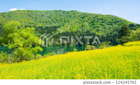 Spring Huronong Lake 124245761