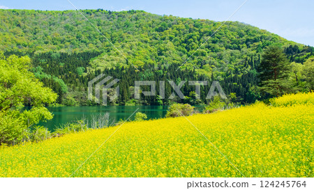 Spring Huronong Lake 124245764