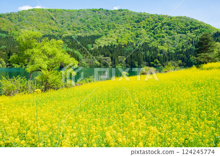 Spring Huronong Lake 124245774