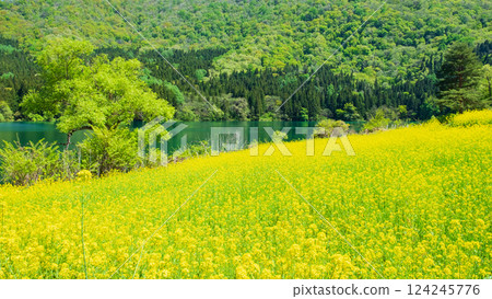 Spring Huronong Lake 124245776