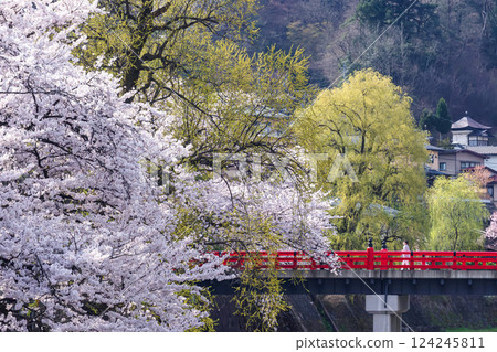 210409 Nakahashi Sakura g049 124245811