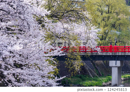 210409 Nakahashi Sakura g053 124245813