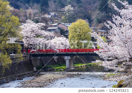 210409 中橋櫻 g093 124245821