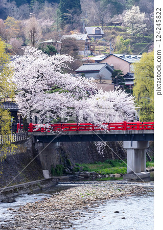 210409 Nakahashi Sakura g094 210409 Nakahashi Sakura g094 124245822