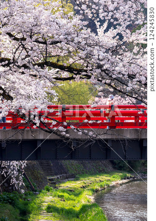 210409 中橋櫻 g128 124245830