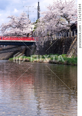 210409 Nakahashi Sakura g286 210409 Nakahashi Sakura g286 124245844