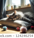 A cat sleeping on a pillow with sunlight coming through the window on its back 3 124246254