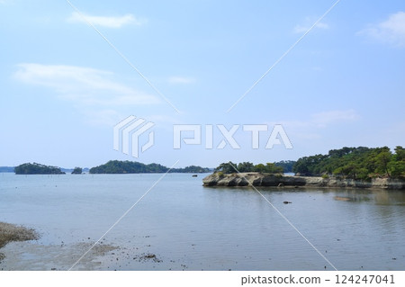A foal seen from a horse's back in Rifu Town, Miyagi Prefecture A foal seen from a horse's back in Rifu Town, Miyagi Prefecture 124247041