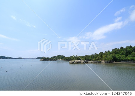 A foal seen from a horse's back in Rifu Town, Miyagi Prefecture 124247046