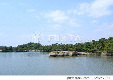 A foal seen from a horse's back in Rifu Town, Miyagi Prefecture 124247047