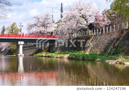 210409 中橋櫻 g298 210409 中橋櫻 g298 124247196