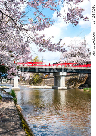 210409 中橋櫻 z518 124247240