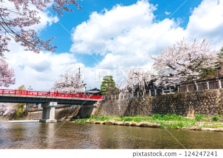 210409 中橋櫻 z523 124247241