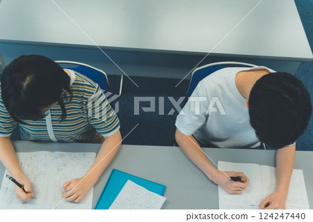 high school student, studying, person 124247440