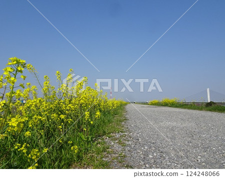 春天的道路 春天的道路 124248066