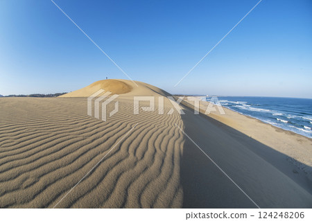 Wind pattern (Tottori dune) Wind pattern (Tottori dune) 124248206