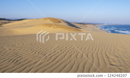 風模式(鳥取沙丘) 風模式(鳥取沙丘) 124248207