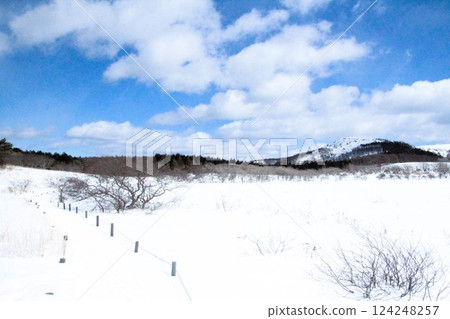 Hachijigahara Marsh 124248257