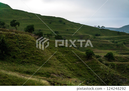 A hillside covered in green grass and trees 124248292