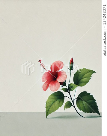 Hibiscus 124248371