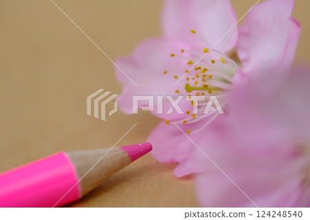 Early spring art image material Early spring art image material 124248540