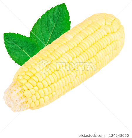 sweetcorn isolated on white background sweetcorn isolated on white background 124248660
