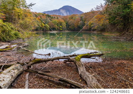 Shirakami-Sanchi World Heritage Site in Autumn: Autumn Foliage at Juniko Lake and Higurashi Pond 124248681