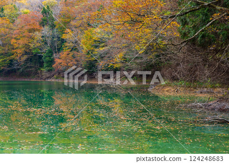 Shirakami-Sanchi World Heritage Site in Autumn: Autumn Foliage at Juniko Lake and Higurashi Pond Shirakami-Sanchi World Heritage Site in Autumn: Autumn Foliage at Juniko Lake and Higurashi Pond 124248683