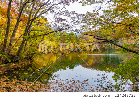 Shirakami-Sanchi World Heritage Site in Autumn: Autumn Foliage at Lake Juniko and Oike Pond 124248722