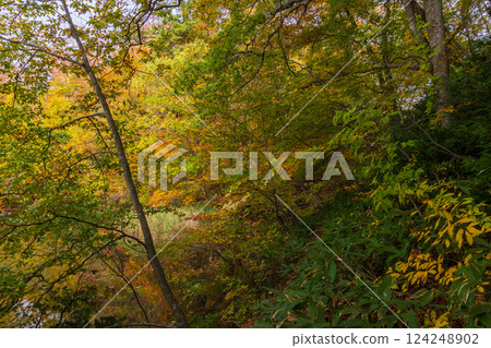 Shirakami-Sanchi World Heritage Site in Autumn: Autumn Foliage at Lake Juniko and Oike Pond Shirakami-Sanchi World Heritage Site in Autumn: Autumn Foliage at Lake Juniko and Oike Pond 124248902