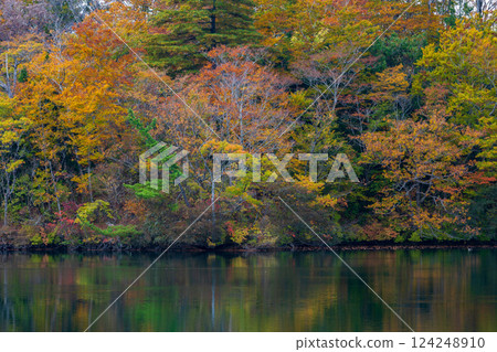 Shirakami-Sanchi World Heritage Site in Autumn: Autumn Foliage at Lake Juniko and Oike Pond 124248910