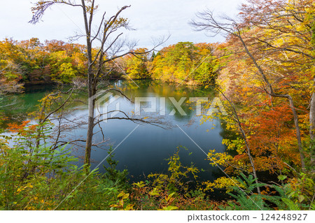 Shirakami-Sanchi World Heritage Site in Autumn: Autumn Foliage at Lake Juniko and Oike Pond 124248927