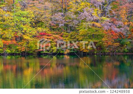 Shirakami-Sanchi World Heritage Site in Autumn: Autumn Foliage at Lake Juniko and Oike Pond 124248938
