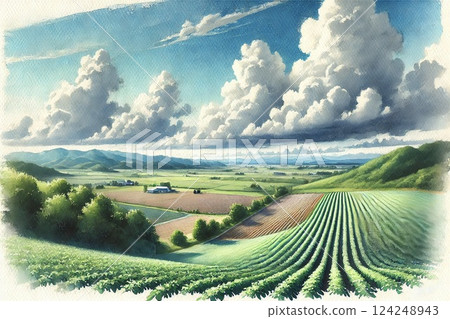 Spring potato field Spring potato field 124248943